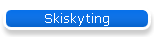 Skiskyting