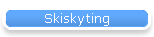 Skiskyting