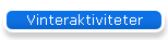 Vinteraktiviteter