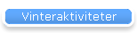 Vinteraktiviteter